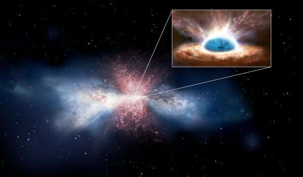 Newborns or survivors? The unexpected matter found in hostile black hole winds