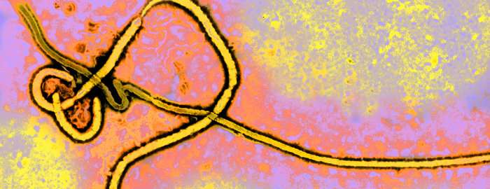 New breakthrough paving the way for universal Ebola therapeutic