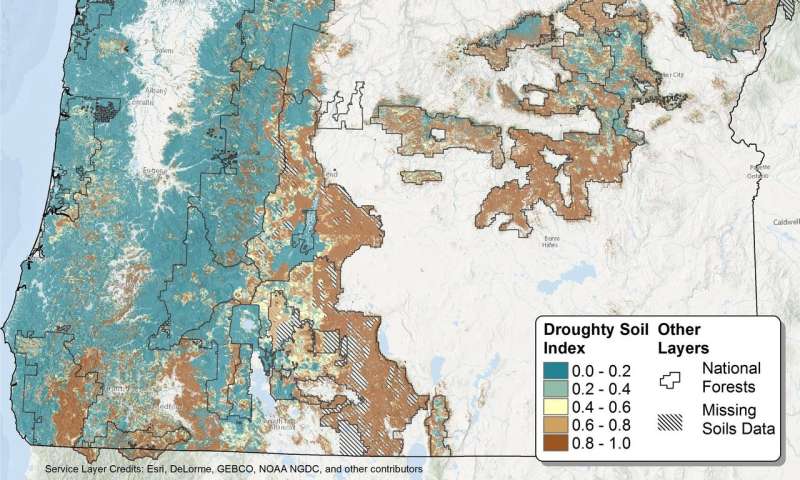 New ‘droughty’ soils model for Pacific Northwest could aid forest health in changing climate