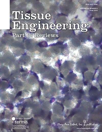 New guide for using mechanical stimulation to improve tissue-engineered cartilage