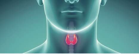 New optical modules could improve thyroid cancer screening