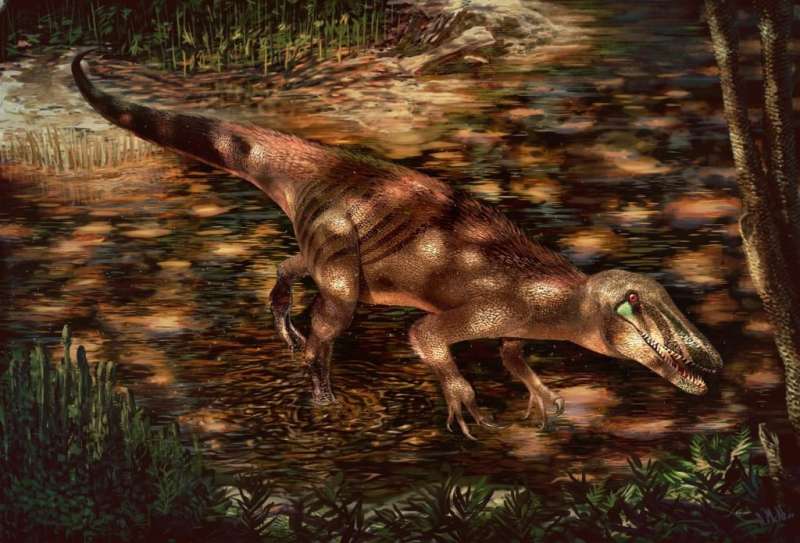 New Patagonian predator sheds light on mysterious meat-eating dinosaur group