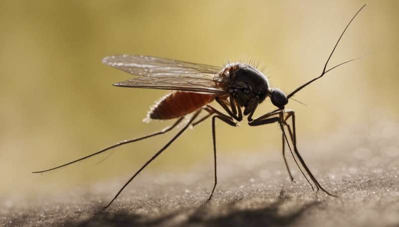 New resources will help researchers fight mosquito-transmitted diseases at no cost to end users