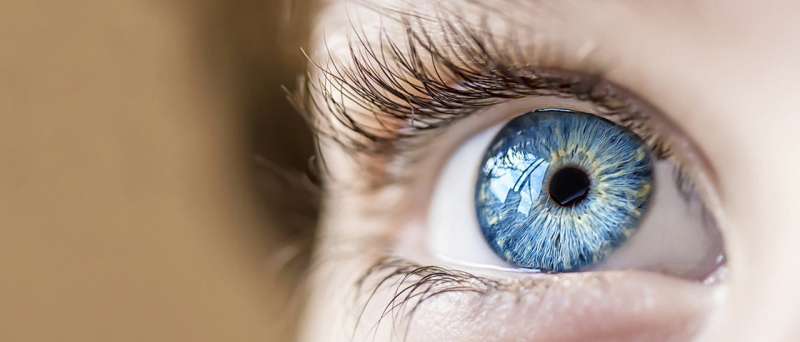 New study offers added hope for patients awaiting corneal transplants