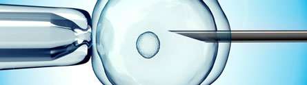 New study to test the role of cortisol on pregnancy in women on IVF