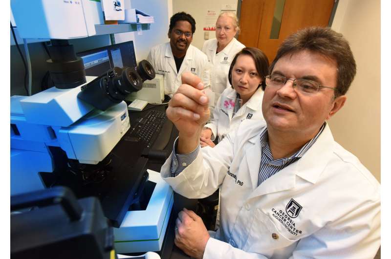New target could prevent progression of liver damage to cancer