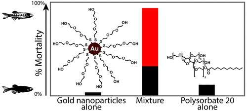 New testing finds synergistic combination leads to toxicity in nanomaterials