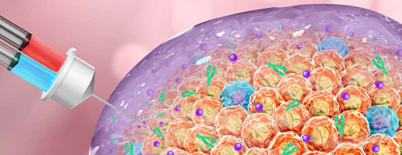 New therapeutic gel shows promise against cancerous tumors