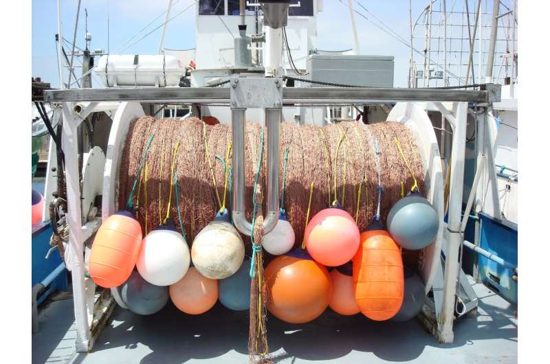 New tool improves fishing efficiency and sustainability