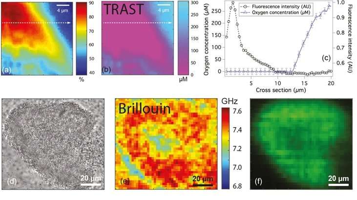 New tools to characterise physical properties of biofilms