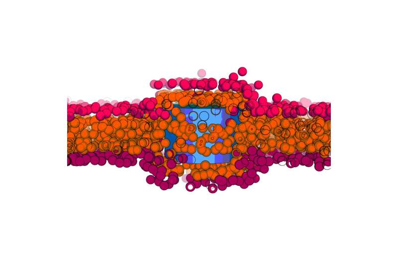 New transport mechanism of nanomaterial through a cell membrane: membrane stretching