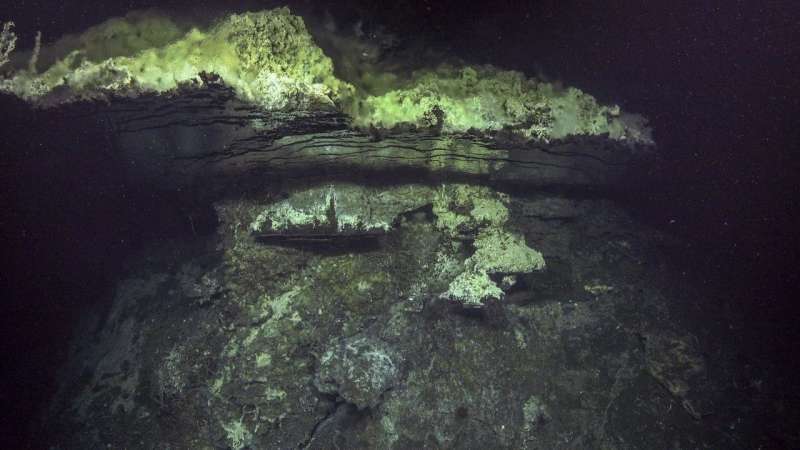New undersea maps lead to hydrothermal vent and species discoveries