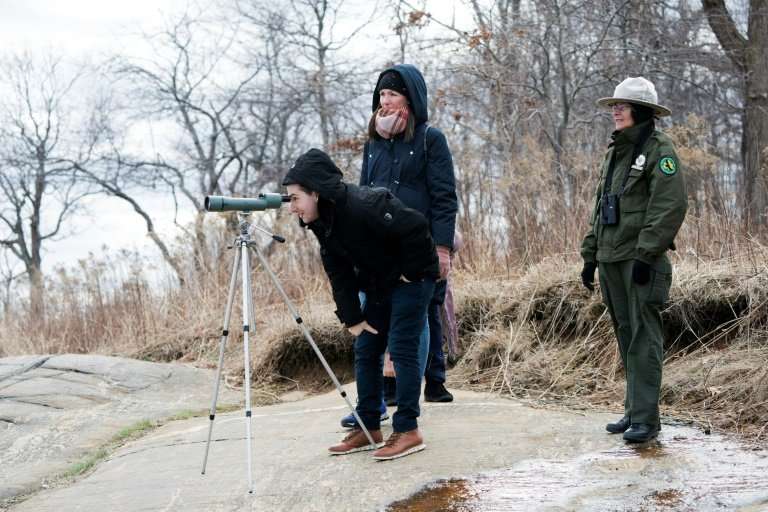 New York City Park Rangers A. Duran (R) helps wildlife enthusiasts view seals on March 10, 2018 near Orchard Beach in New York