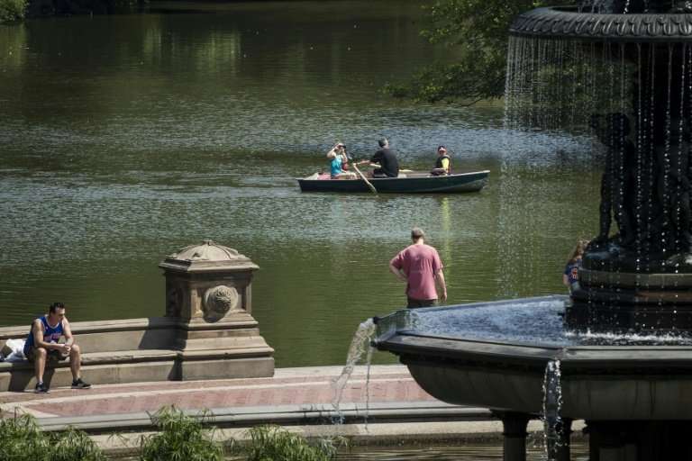 New York's Central Park is set to go car-free