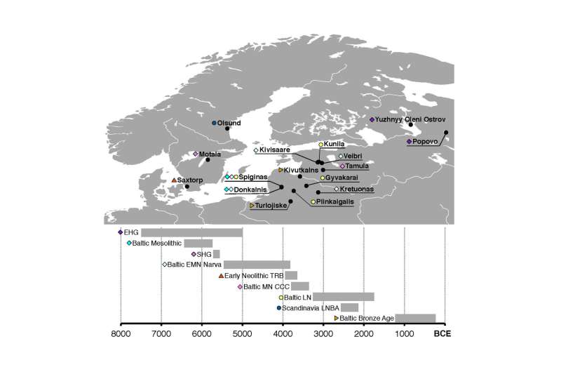 Northern European population history revealed by ancient human genomes