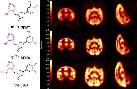 Novel nuclear medicine probe will help assess new drugs for neurodegenerative diseases
