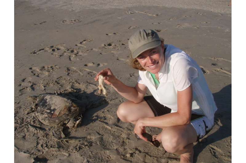 Novel technologies reveal key information about depleted east pacific green sea turtles