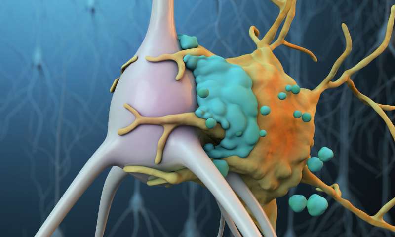 Novel therapy inhibits complement to preserve neurons and reduce inflammation after stroke