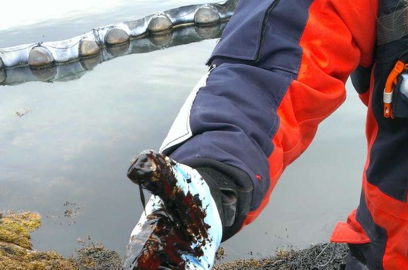 Oil-eating microbes are challenged in the Arctic