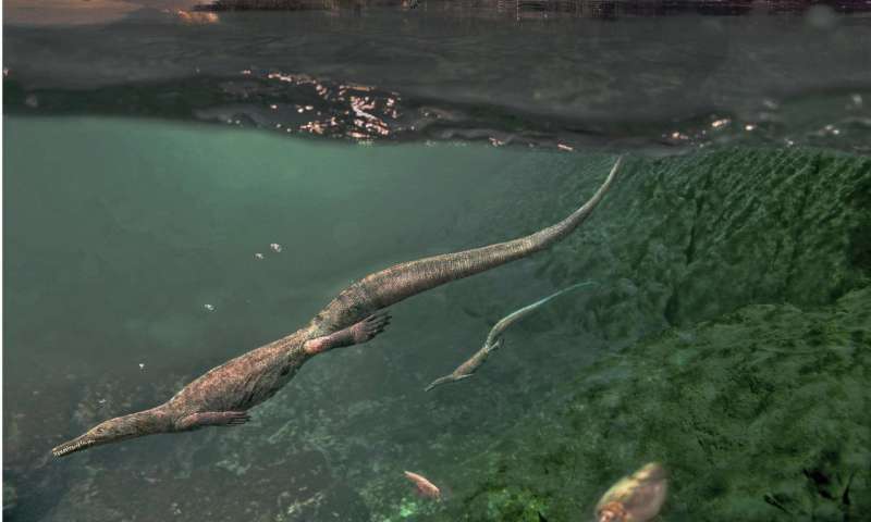 Oldest-known aquatic reptiles probably spent time on land