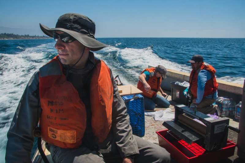 Oleo Sponge successful in real-world conditions off California coast