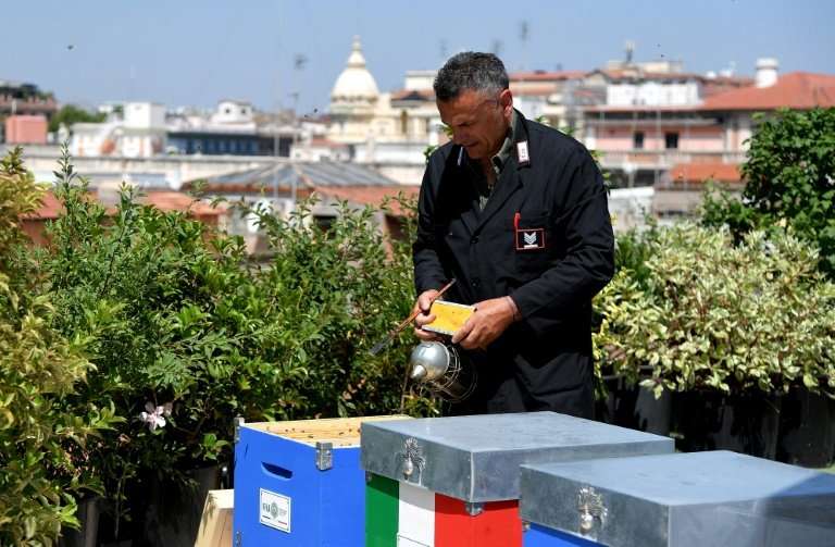 On the roof of a building in the heart of the capital that houses the Italian Federation of Beekeepers (FAI), 15 beehives are ab