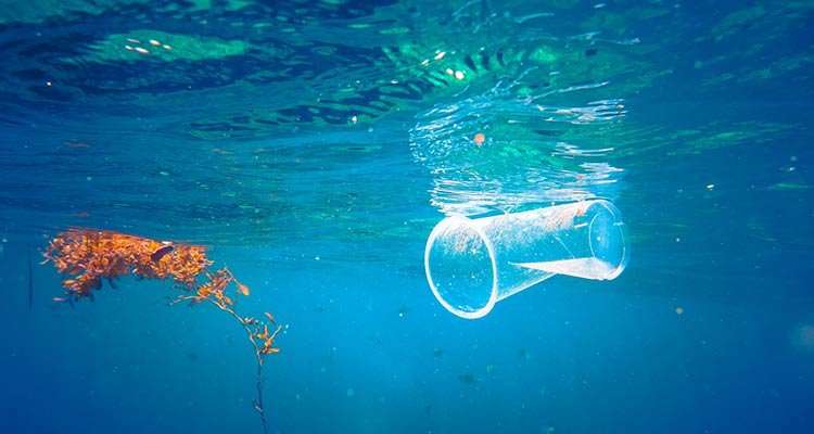 On the way to plastic-free oceans