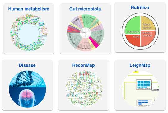 Open database encapsulates worldwide knowledge of human metabolism