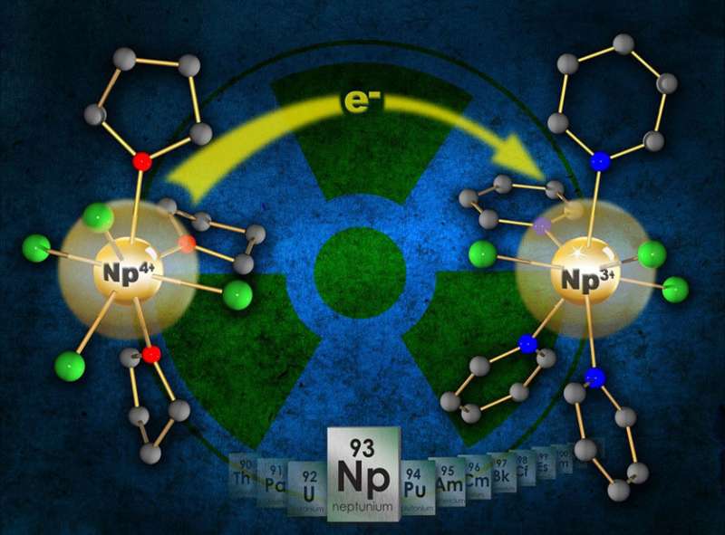 Opening access to explore the synthetic chemistry of neptunium