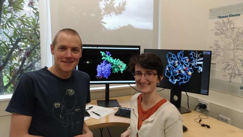 Otago discovery links DNA-packaging proteins and cancer development