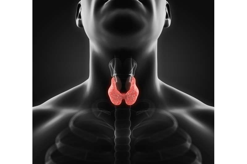 Overtreating patients for hypothyroidism could raise their risk of stroke, study finds