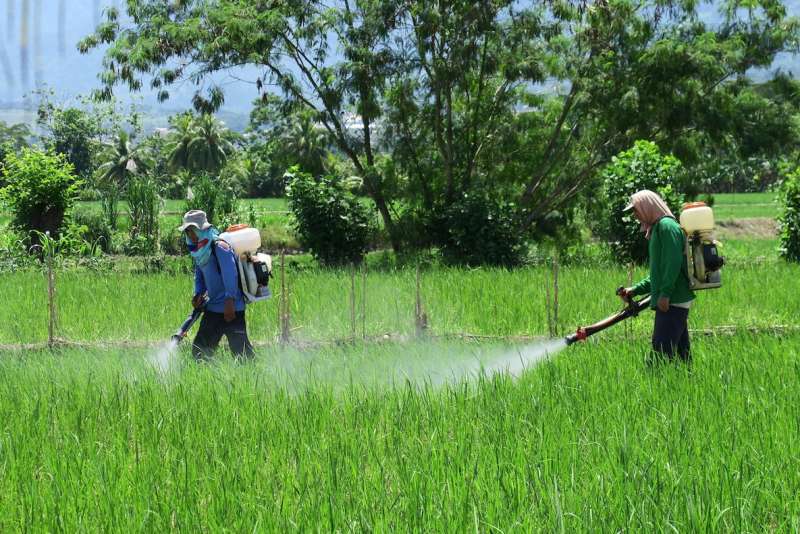 Overuse of agricultural chemicals on China’s small farms harms health and environment