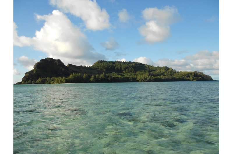 Pacific rats trace 2,000 years of human impact on island ecosystems