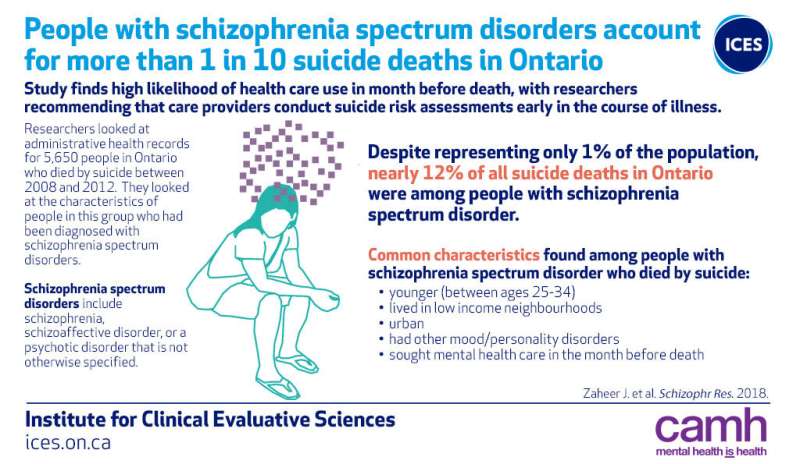 People with schizophrenia account for more than one in 10 suicide cases