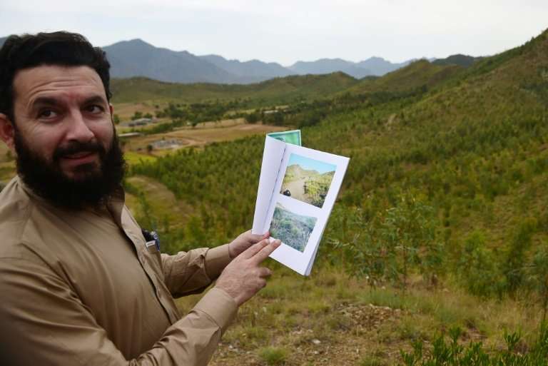 Pervaiz Manan, head of the Khyber Pakhtunkhwa forest department, shares pictures of the site previously, when only sparse blades