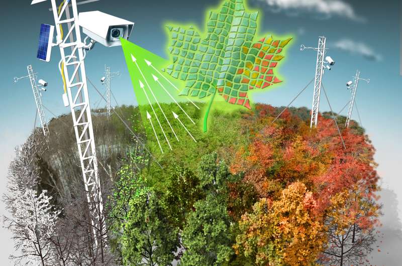 PhenoCam network harnesses ‘big data’ to predict impact of warmer climate on ecosystem productivity and carbon cycling