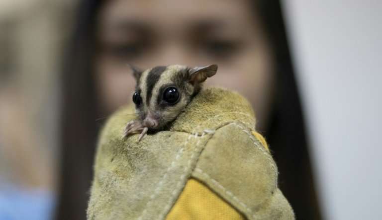 Philippine officials put the market value of the confiscated creatures at $192,000