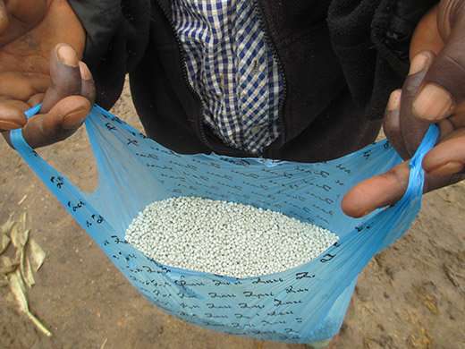 Phosphate rock an effective fertilizer in Kenya