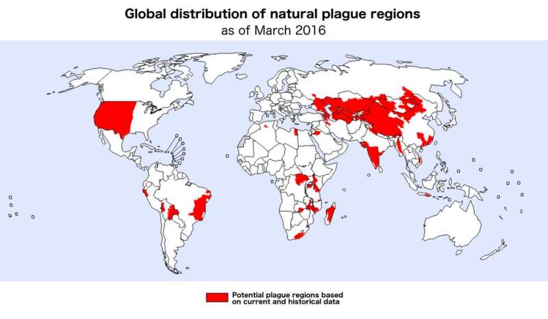 Plague bacteria may be hiding in common soil or water microbes, waiting to emerge