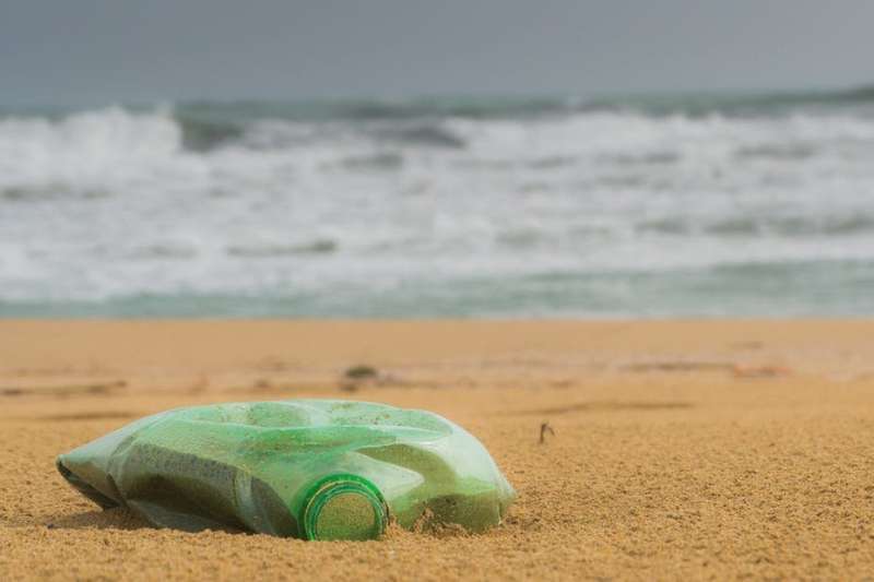 Plastics in oceans are mounting, but evidence on harm is surprisingly weak