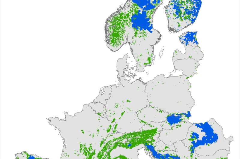Plenty of habitat for bears in Europe