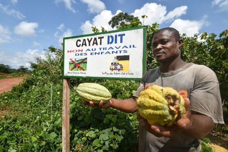 Podcast: A small farmer in Ivory Coast's CAYAT cooperative, which grows fairtrade-certified cocoa. The message on the board read