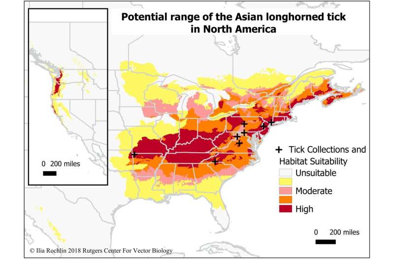Potential range for new invasive tick covers much of eastern US
