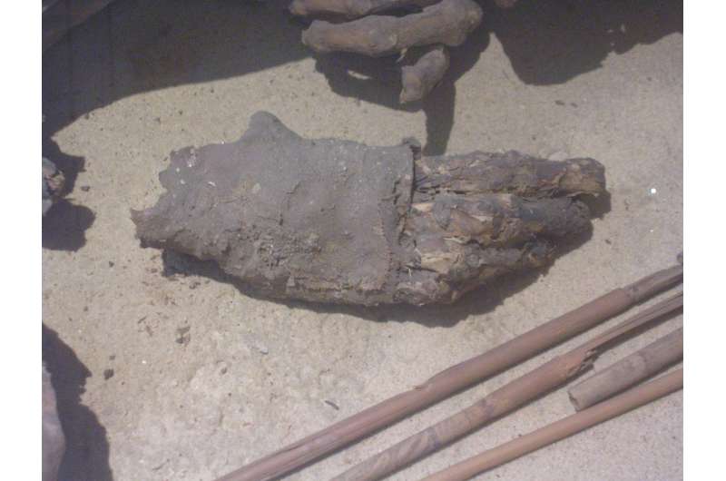 Prehistoric mummy reveals ancient Egyptian embalming 'recipe' was around for millennia