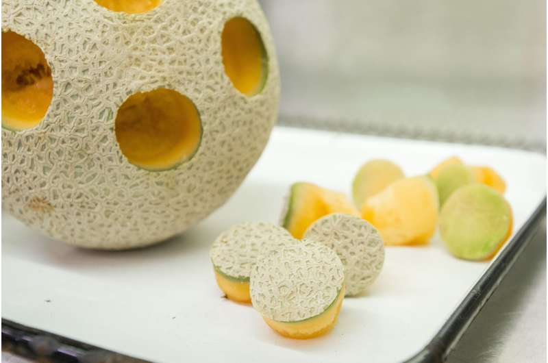 Probiotics effective in keeping cantaloupes safe to eat