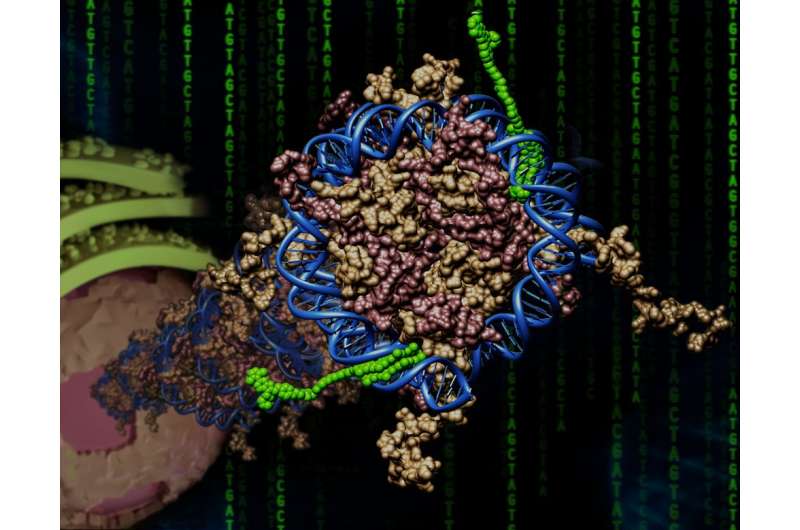 Programming synthetic molecular codes to turn genes 'on'
