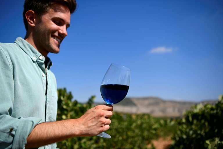 &quot;We knew Gik Blue would polarise opinion,&quot; says Aritz Lopez, a co-founder of Gik Live! which produces blue wine