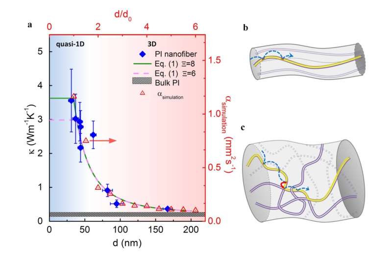 'Random walk' of heat carriers in amorphous polymers