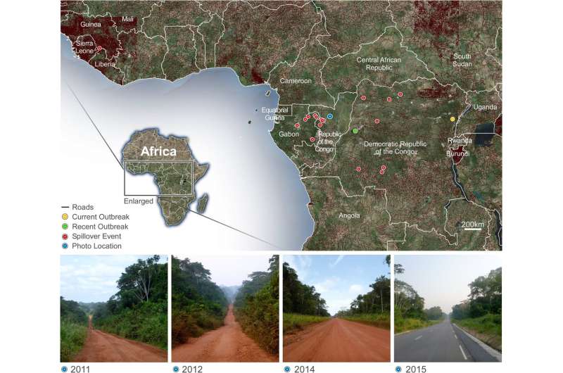 Rapid development in Central Africa increases the risk of infectious disease outbreaks