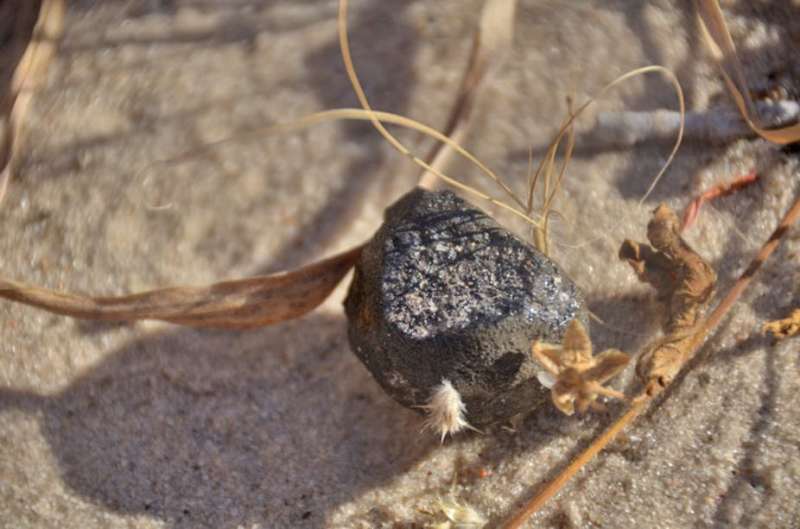 Rare meteorite recovery in Botswana can help reveal  secrets of outer space